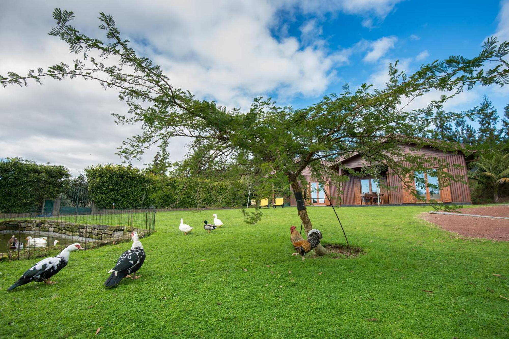 Vila Quinta Dos Curubas Vila Franca do Campo Exteriér fotografie