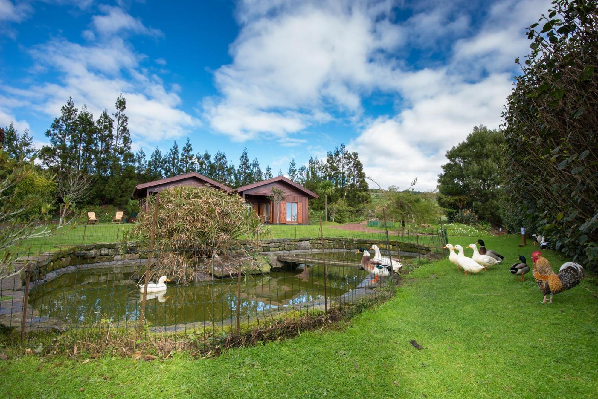 Vila Quinta Dos Curubas Vila Franca do Campo Exteriér fotografie